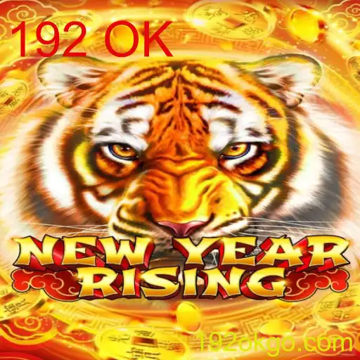 Explorando o Mundo de NewYearRising: O Jogo que Está Conquistando 192 OK